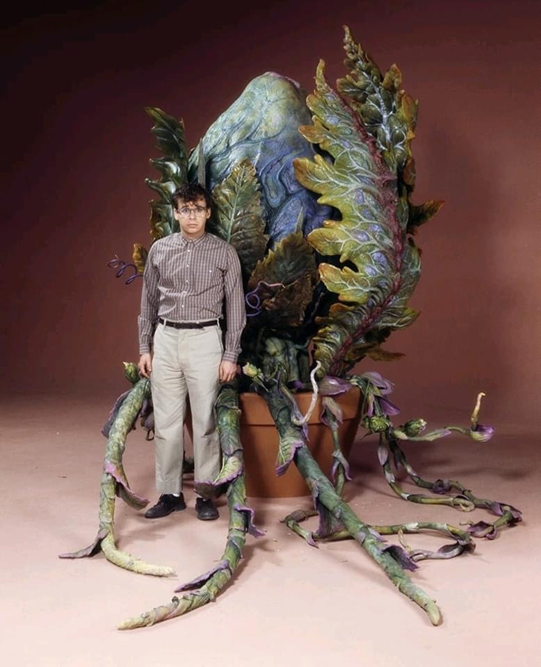 Little Shop of Horror