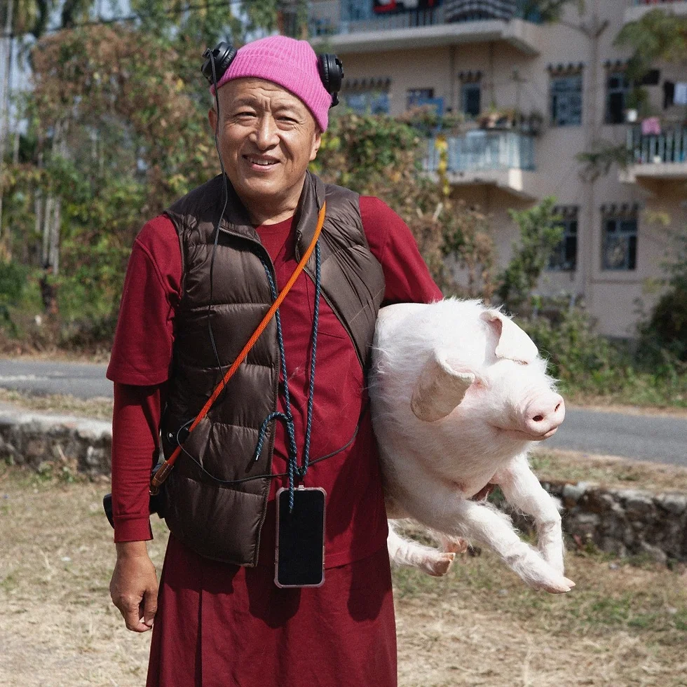 【獨家專訪】喇嘛導演眼中的媒體與死亡 宗薩仁波切：探索《十字路口的猪》深層意義｜2024