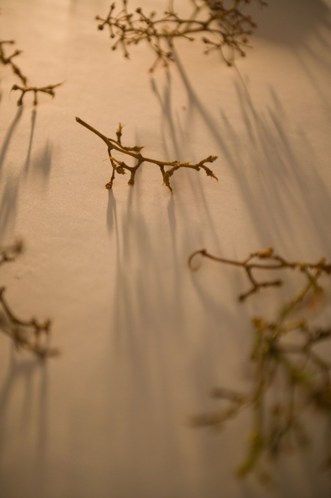 方韻芝、黎倩華