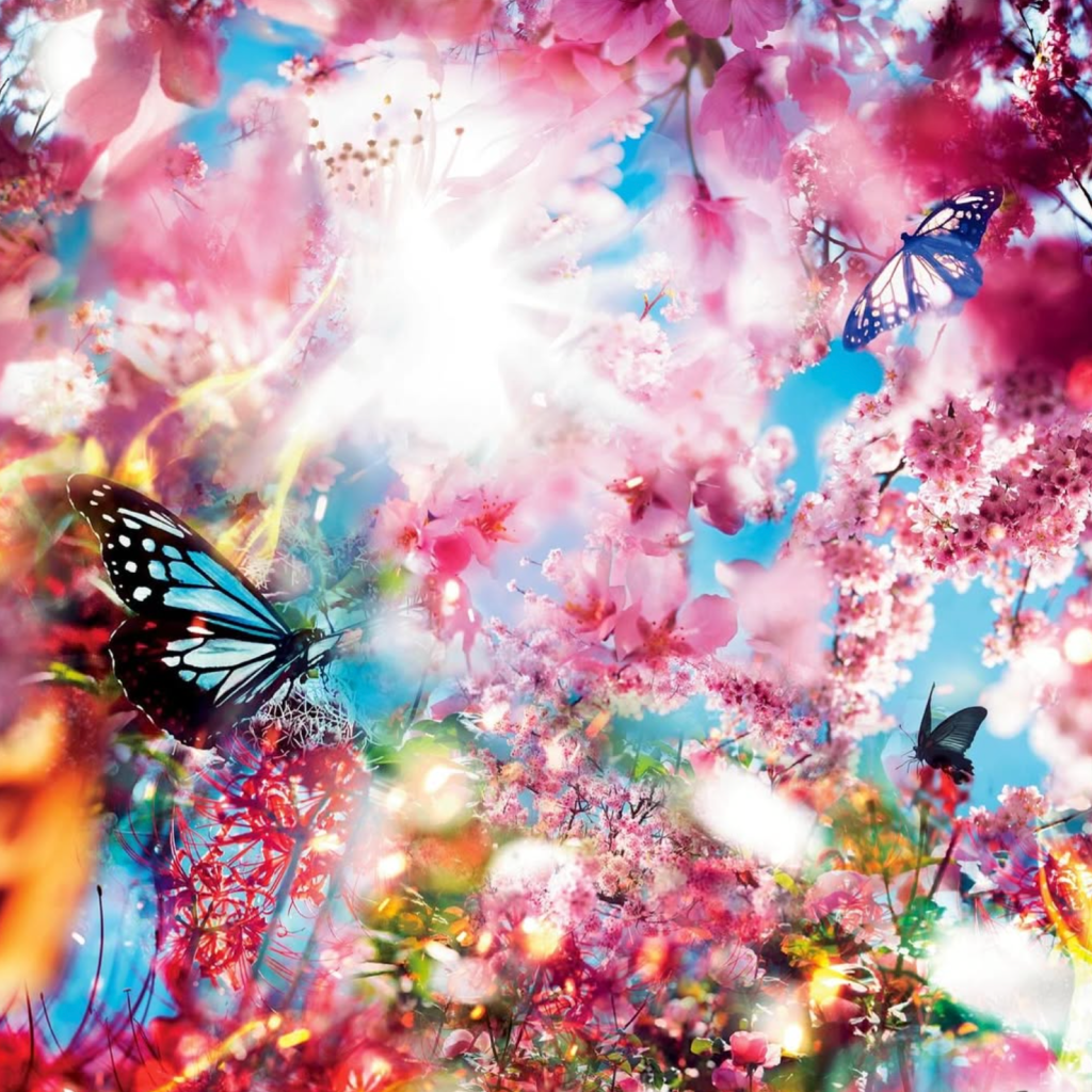 蜷川實花
