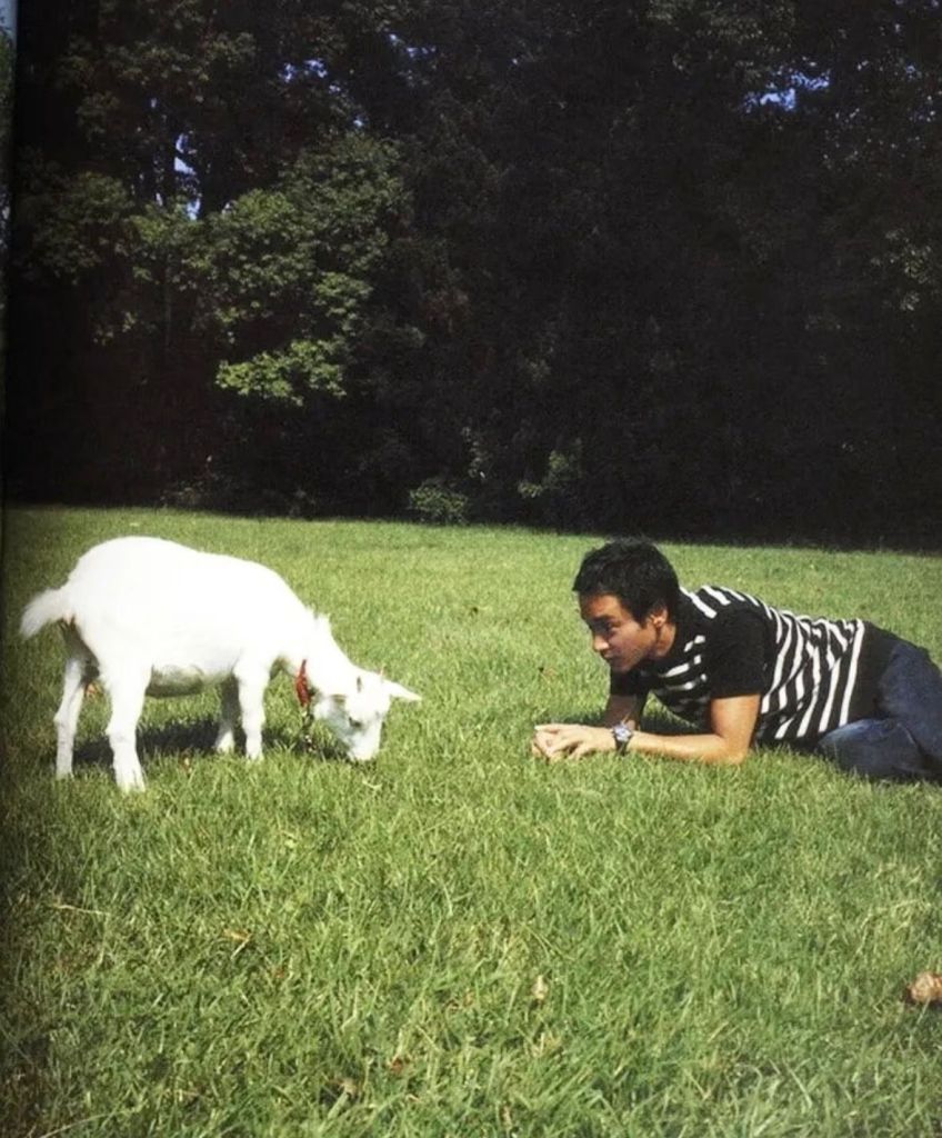 【23年】你離開了卻散落四周 | 2026 悼張國榮